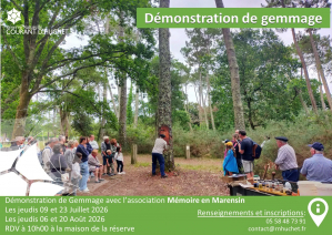 Gemmage- 2026.jpg