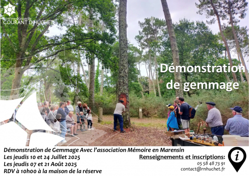 Gemmage- 2025.jpg