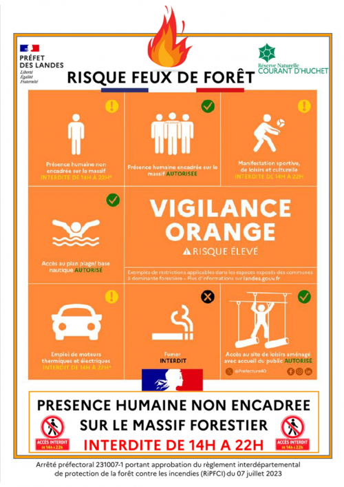 Orange.jpg