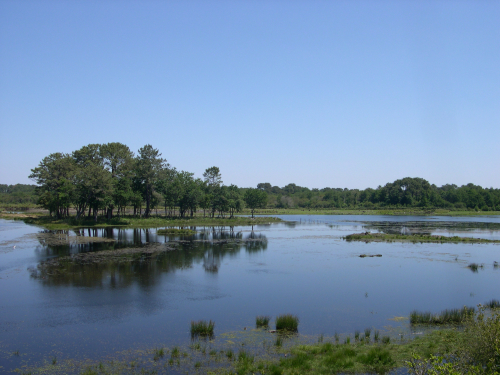 Le marais du Cout
