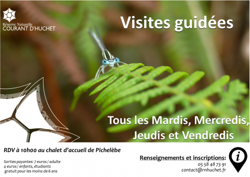 Visites guidées été - 2025.jpg